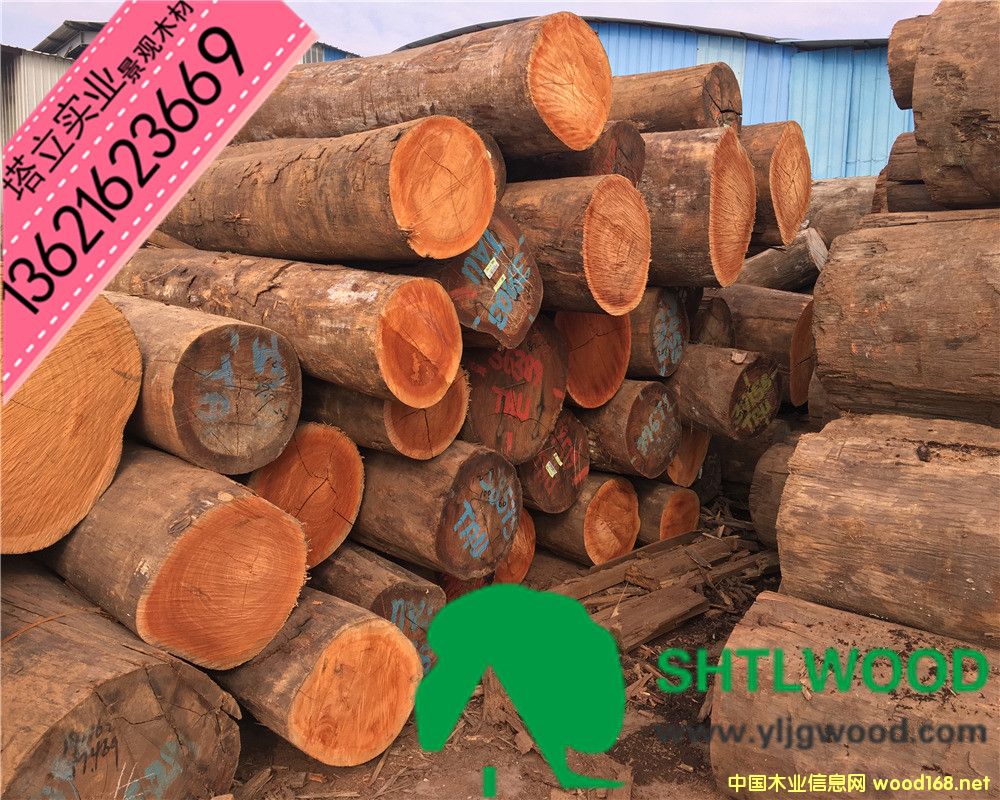 �̈́�ľ���t��ľ���t�������͵�ľ����ľ���y��ľ���ڂ��ҡ���ľ