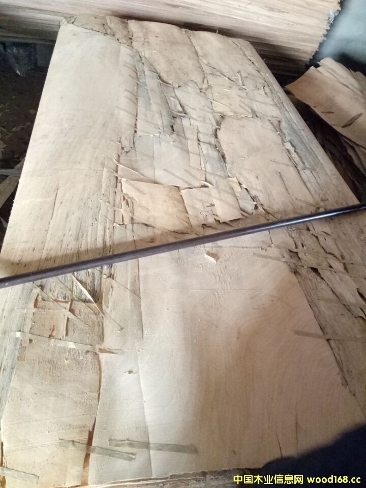 [��] �һ����L�а�