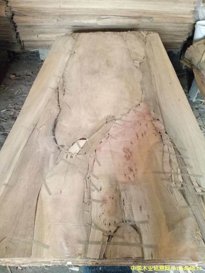 [��] �һ����L�а�