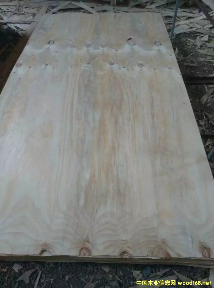 ݗ�����L(zh��ng)�а�