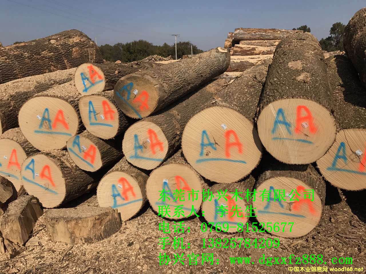 �W�ް�Ϟ?z��i)�ԭ�?  border=