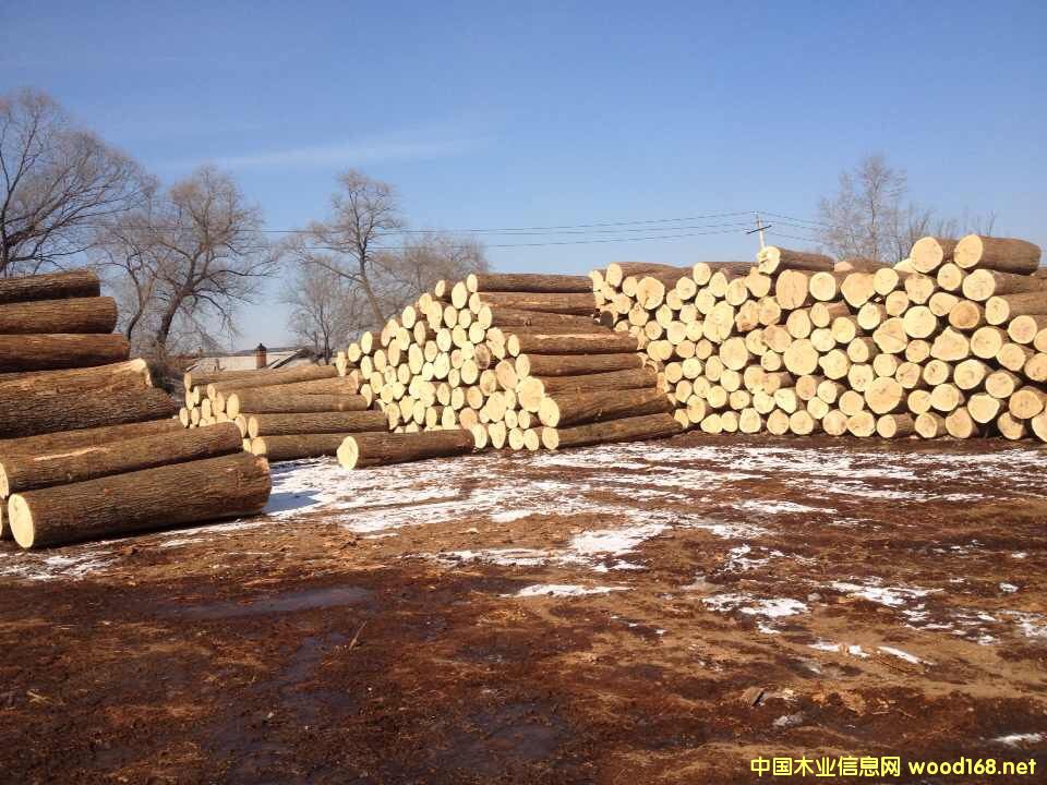 [��] �f(xi��)�dľ�I(y��)/������Ϟ?z��i)?�M(j��n)�ڰ�Ϟ?z��i)?�M(j��n)��ľ��/