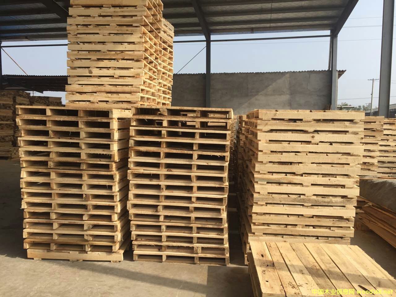 ��(sh��)ľ�бP��ľ��������܇��ľ�������}�����D(zhu��n)�������l(f��)