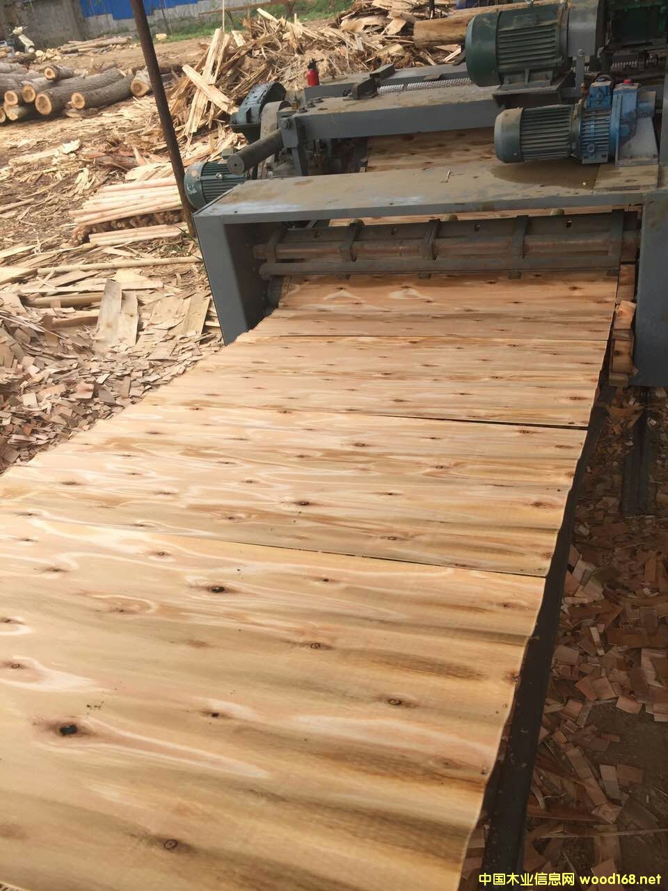 ��ľ�L(zh��ng)�а�