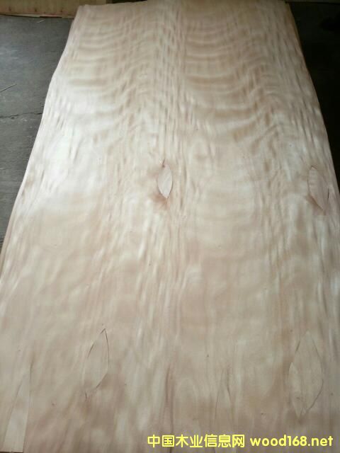 �һ�оƴ�a(b��)�ΰ�