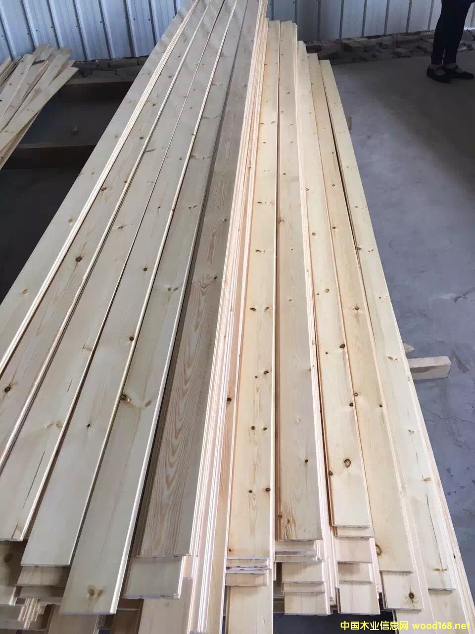 ����ɣ�ð�ɣ�ð�