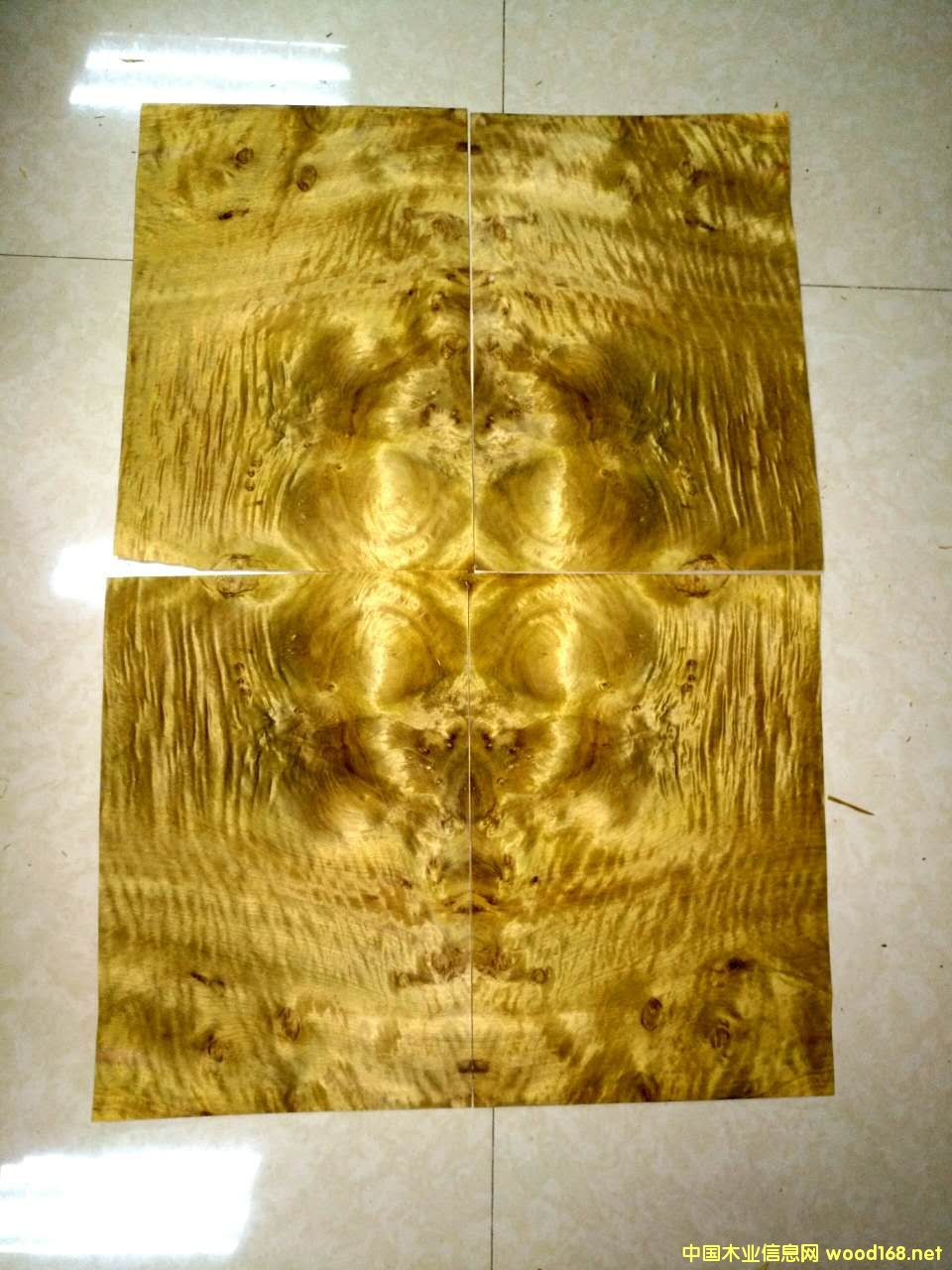 ��Ȼ��z�ľƤ��Ԕ��(x��)��B