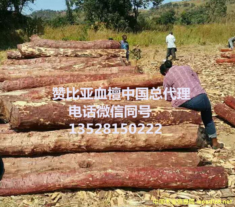 ٝ�ȁ�Ѫ̴��Ԕ��(x��)��B