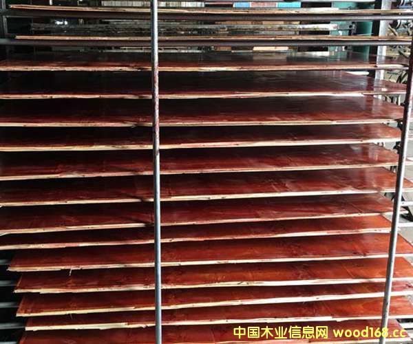 ����ģ��23