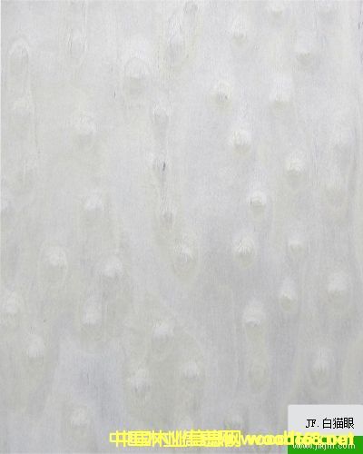 �����Ƽ�ľ