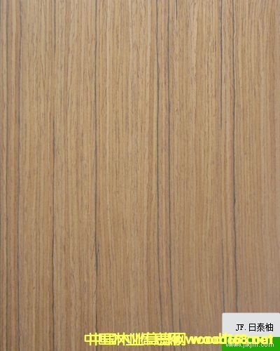 �����Ƽ�ľ