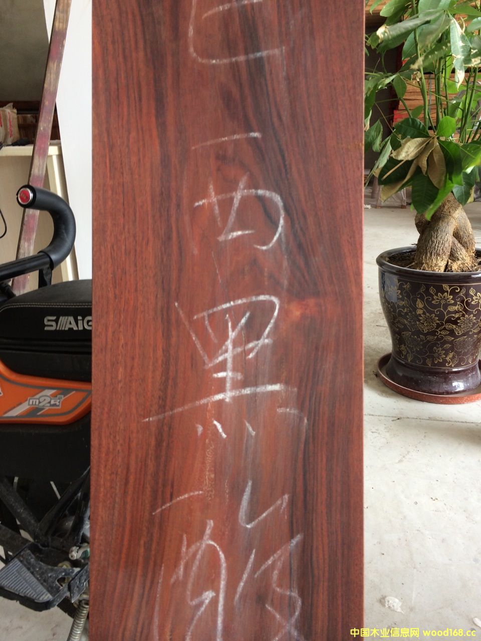 ��������֦ľԭľ