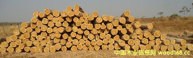 ��ľ��Ԕ��(x��)��B