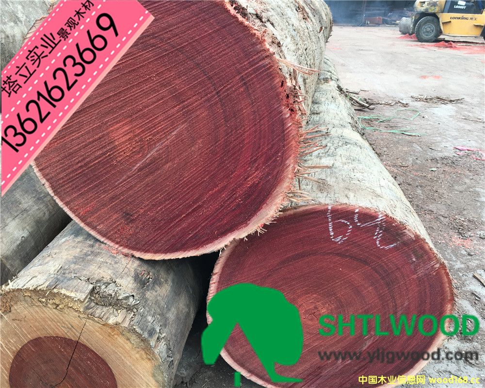 �t��ľ���t�̈́ڶ���