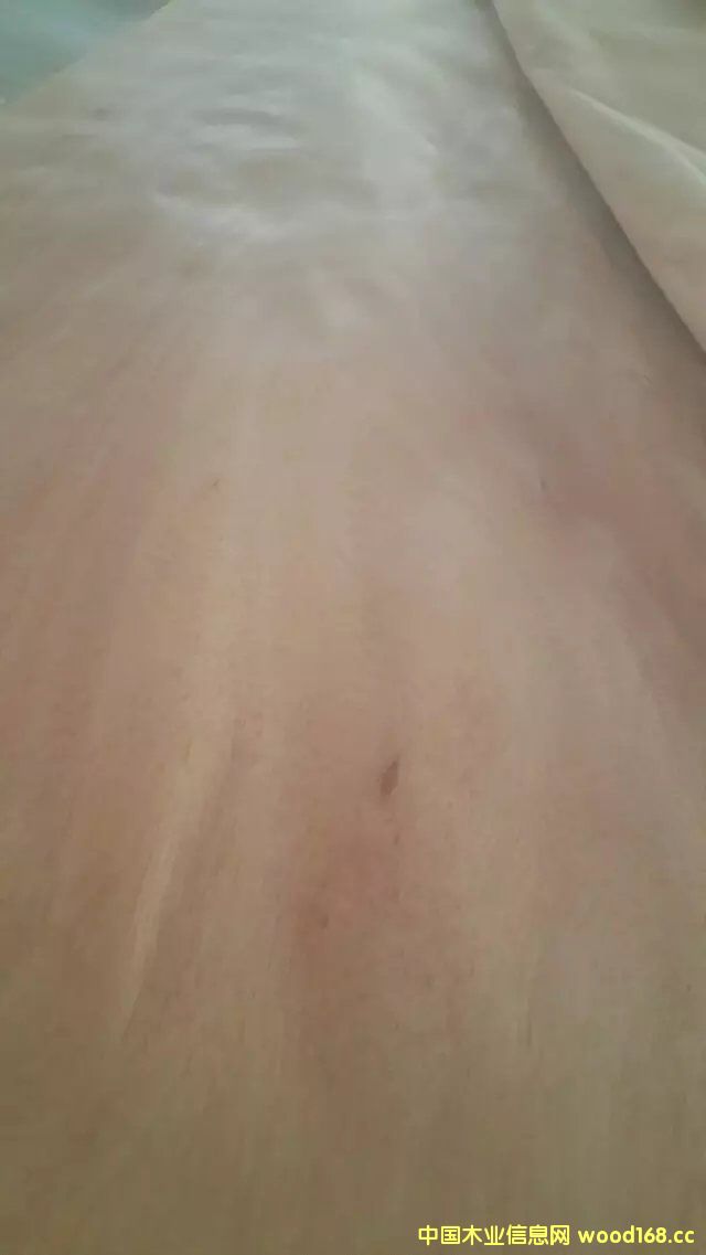 �W����ľƤ��Ԕ��(x��)��B