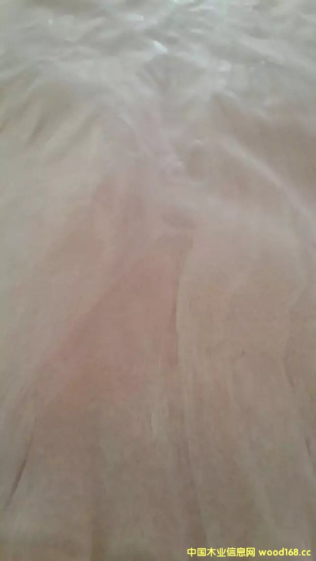 �һ�оľƤ��Ԕ��(x��)��B