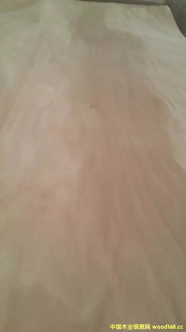 �һ�оľƤ��Ԕ��(x��)��B