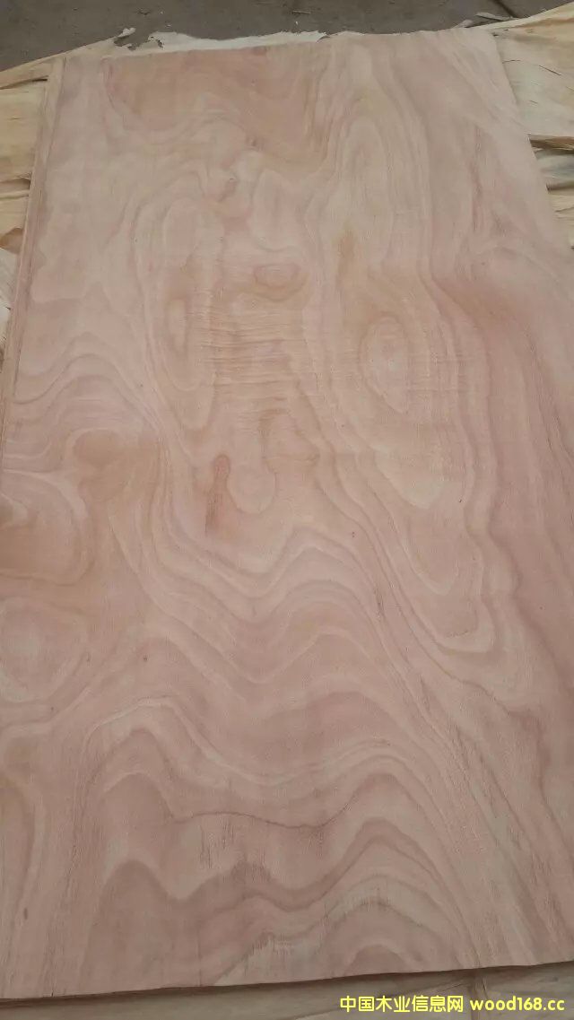 �һ�оľƤ��Ԕ��(x��)��B