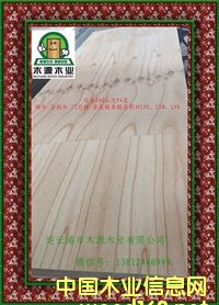 ȫ��ľLVL �Tо��  �Tľ�l