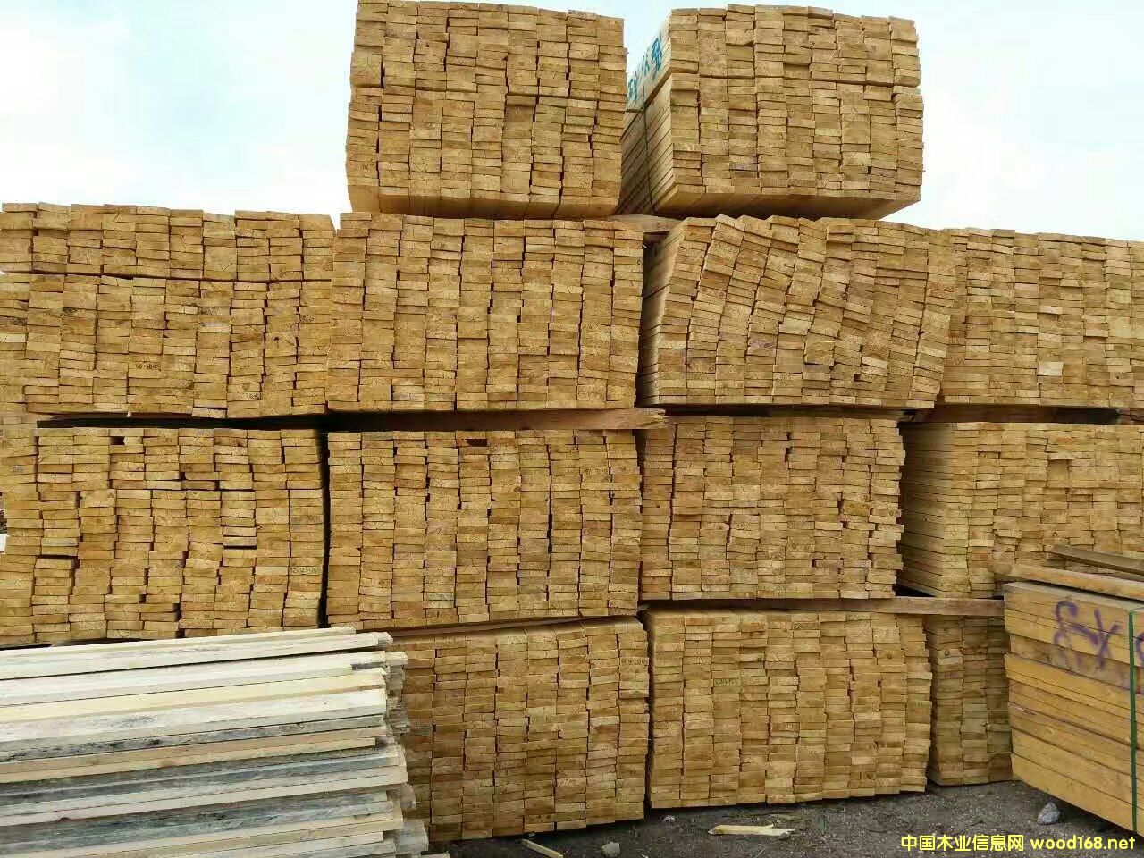 �����ɸɰ�1