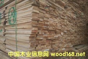 ��ľë�壨ɫ�