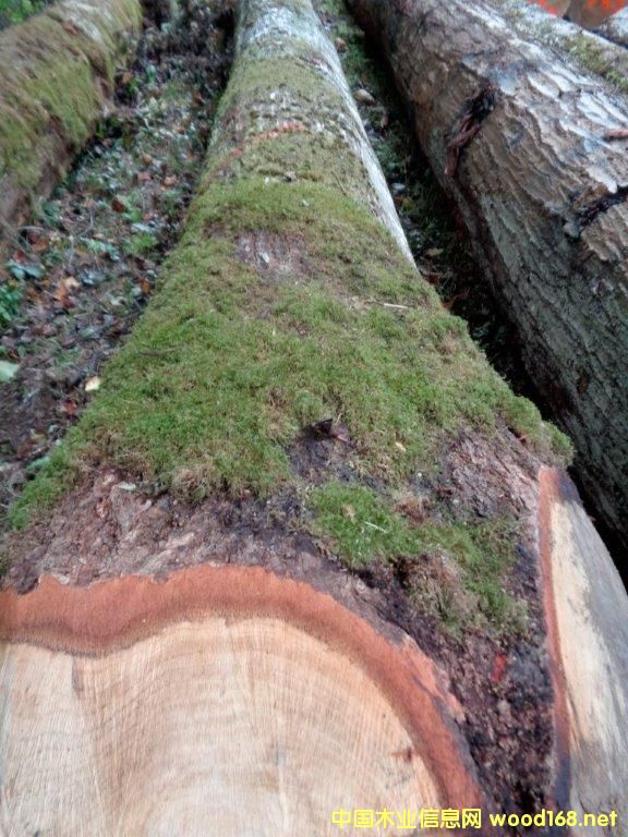 �t��2016-3��Ԕ����B