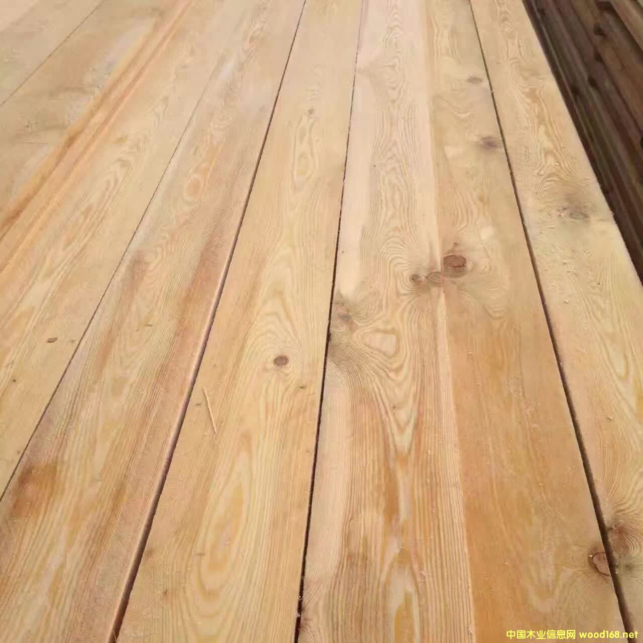 ���~�ɰ�ĵ�Ԕ��(x��)��B