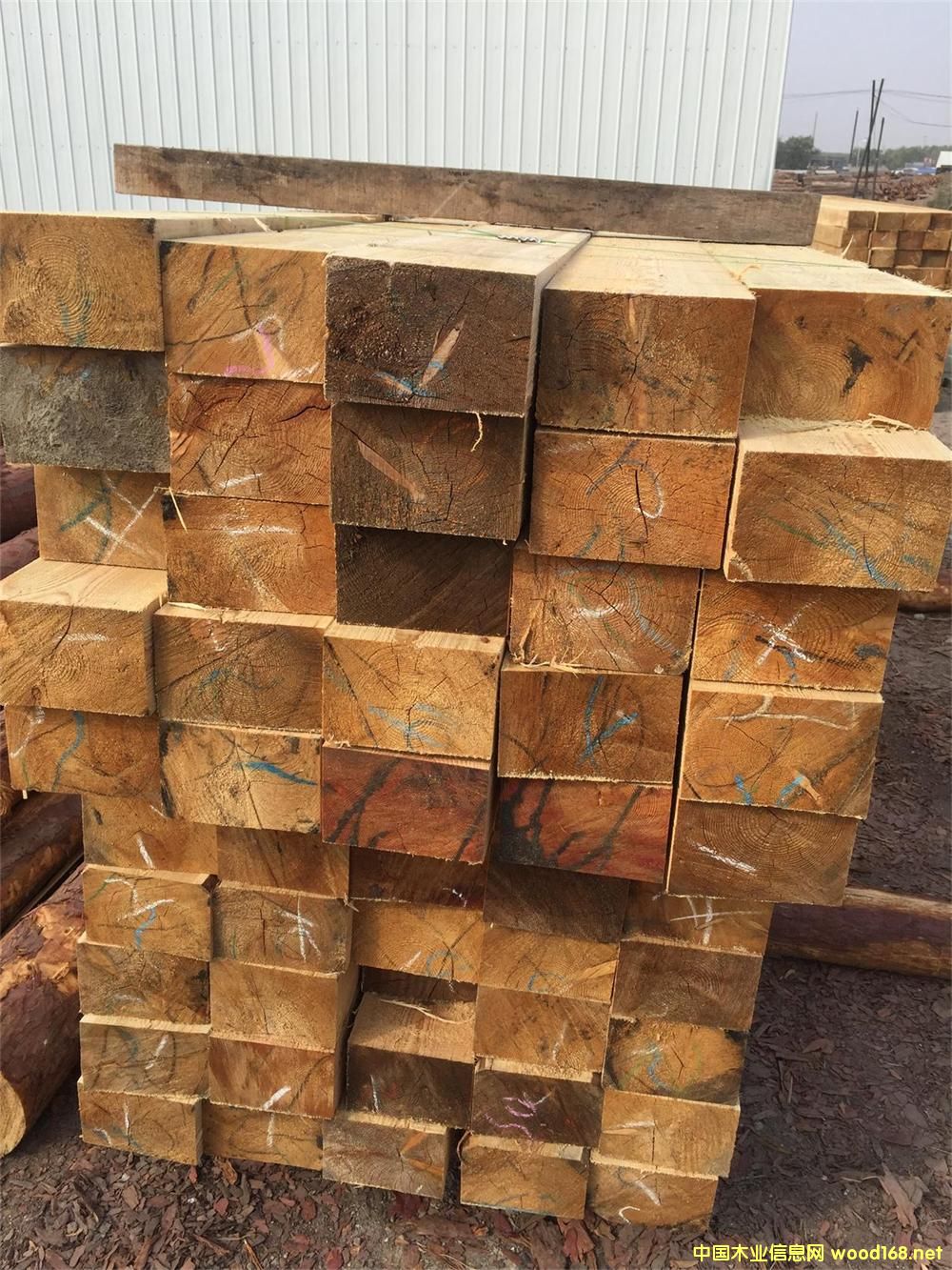 ���~�� ��ľ��Ԕ��(x��)��B