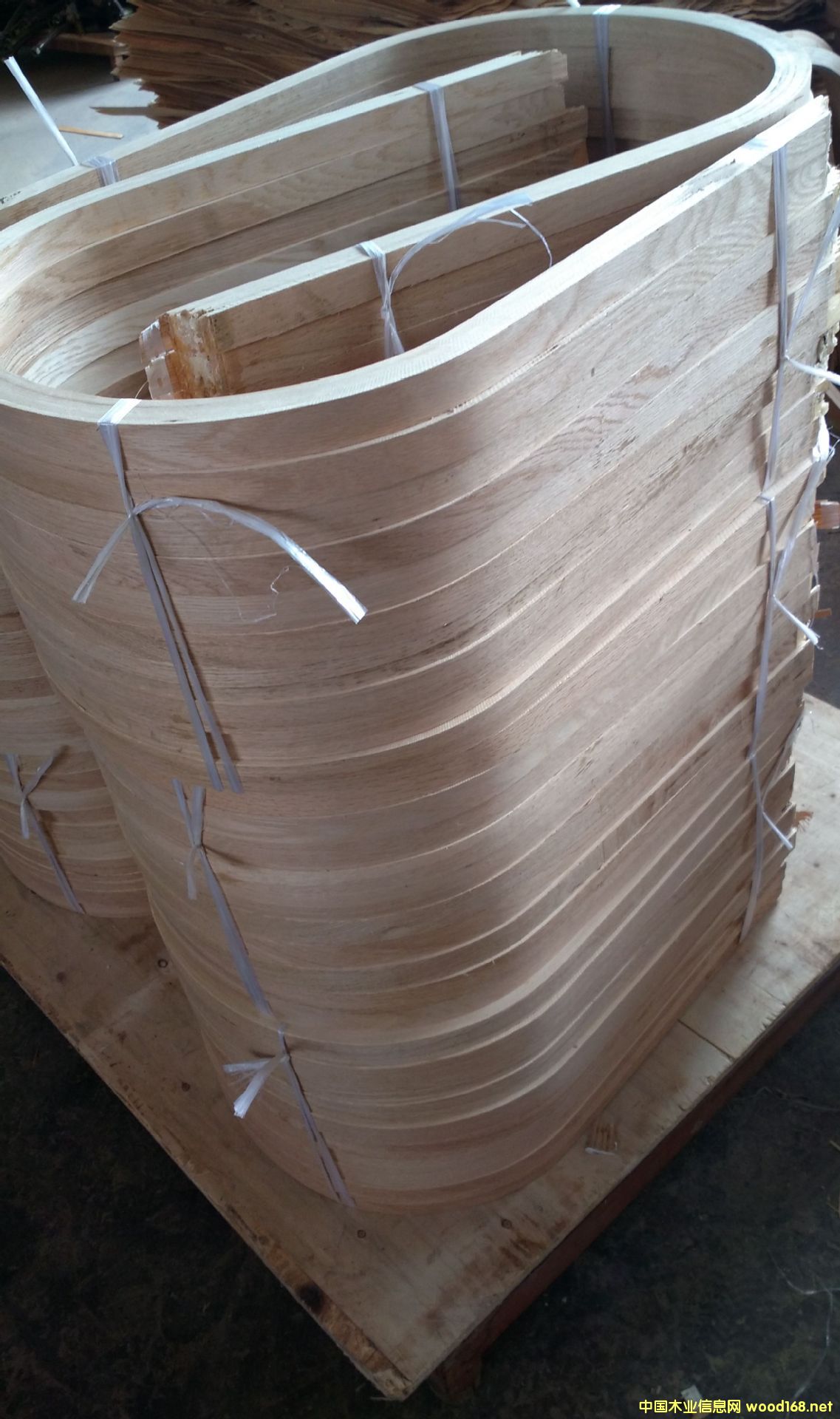 ����˹�ա����ΰ匣�íh(hu��n)����ȩ��֬��ȩ�z��������ȩ�������Ԅ�