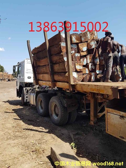 Īɣ�ȿ˸��޻���