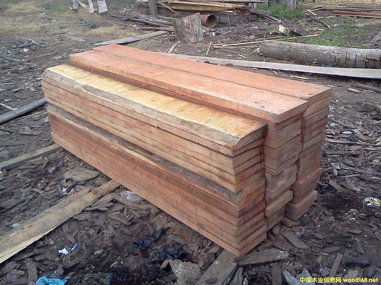 [��] �Ӽ{�Kľ���Ͼ���