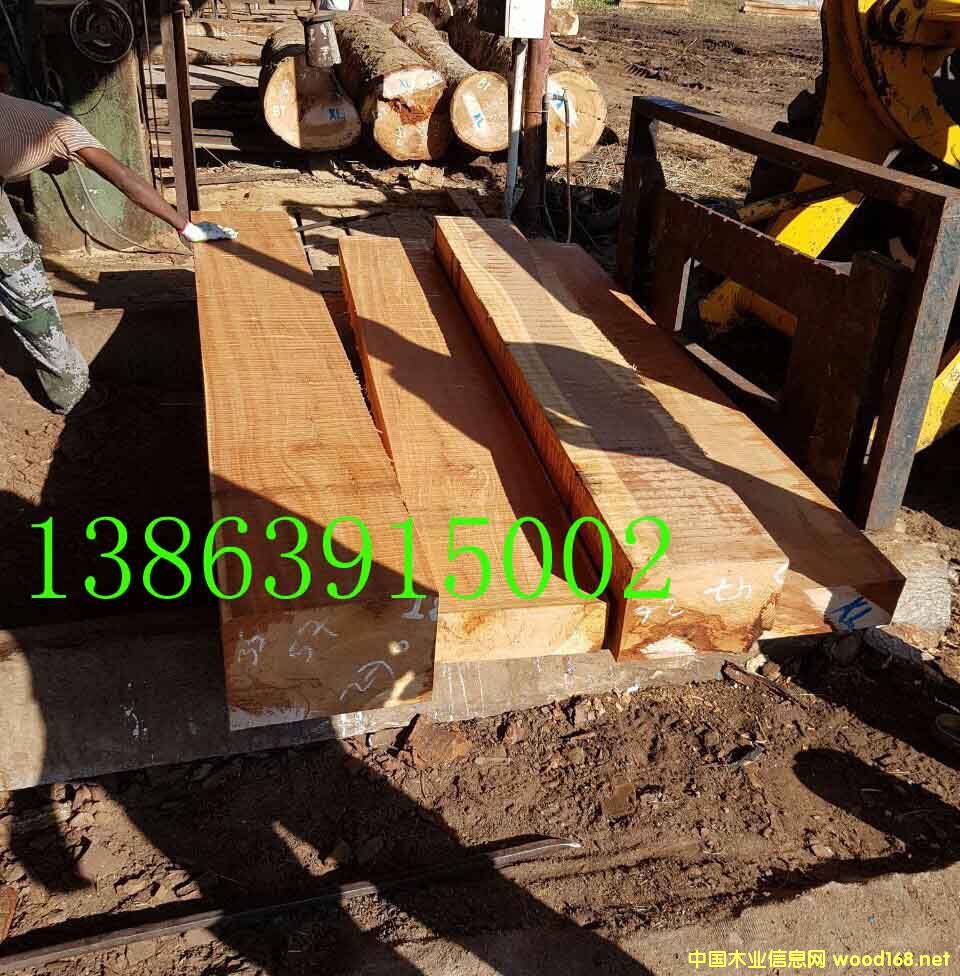 ����ľ��ľ���