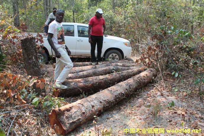 �������������(gu��)���ڼӹ�ľ��