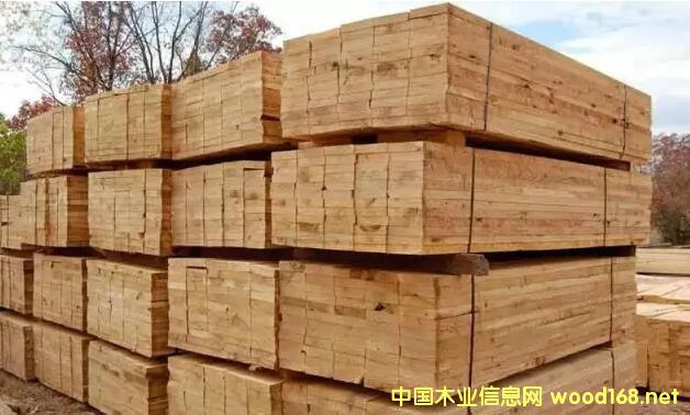 ����ľ���Ј��Ϸ��Ƀr�񏊄��ϓP