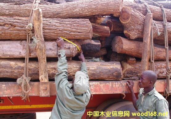 Īɣ�ȿ�ľ�ĳ����΄�(sh��)�c����(d��ng)�B(t��i)