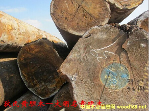 ľ�Ę�NԔ��--�����Sđľ  �׷Q: �͵�ľ���Ӽ{��̴