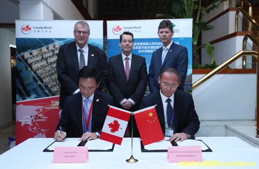 ����̩�_�c���ô�ľ�I(y��)�f(xi��)�����A�Ʒǳ��ع�(ji��)��ľ�����о��_�l(f��)�c����