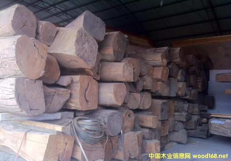 ����֦(�W���S̴)