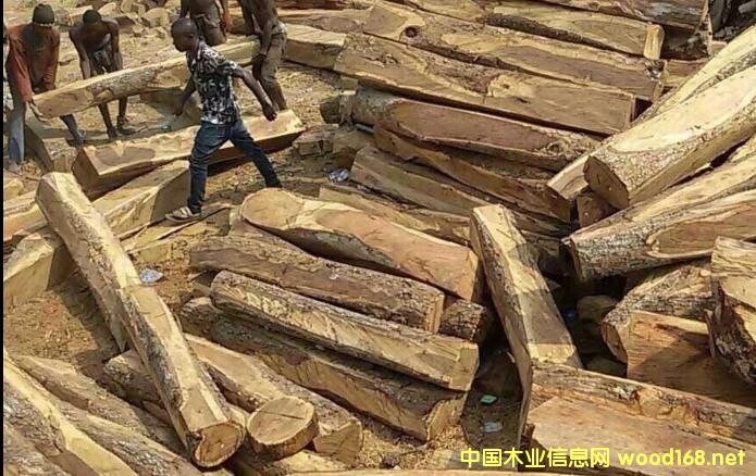 �tľԭ�Ĕ�(sh��)���J�p�r�񯂝q �Ҿ���I(y��)��Α�(y��ng)����