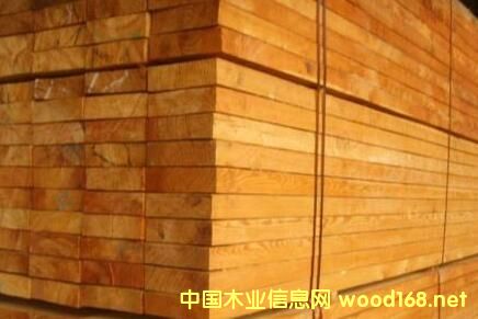 ȫ������ľ���Ј�����һ�[ ݗ���Ƀr(ji��)��һ�q�ٝq