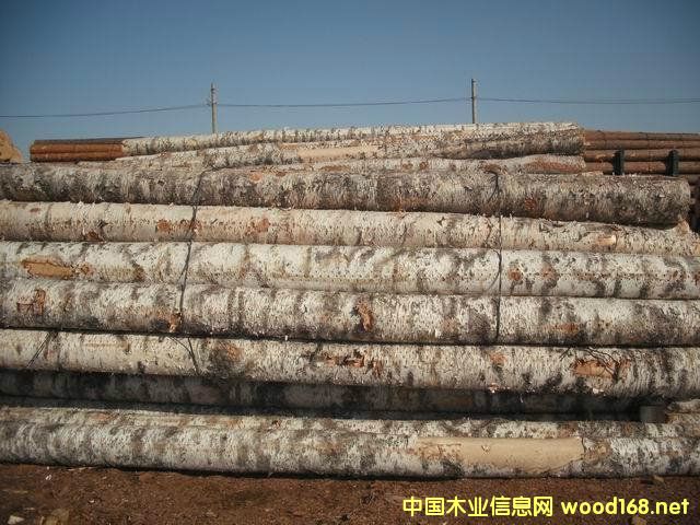 �Ϻ�ľ���Q(m��o)����-��ľԭľ