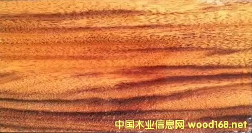 �tľ����ģ�������ľ���Ј�(ch��ng)��(n��i)�Ĵ���w�ٶ�