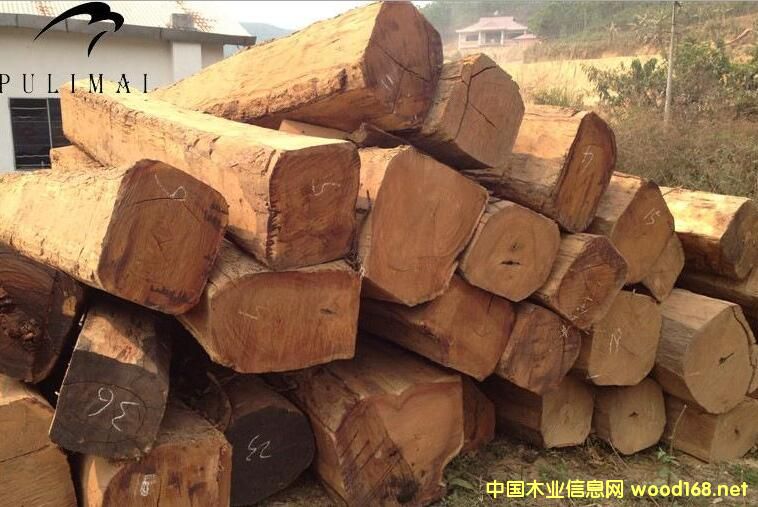 δ��(l��i)�tľ�Ј�(ch��ng)�����黨��Q(ch��ng)���ѳɶ���