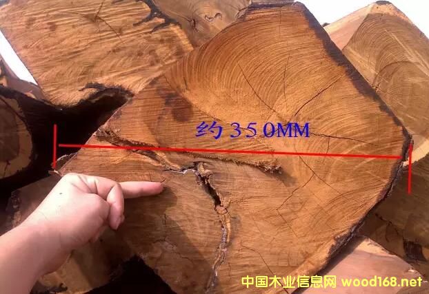 �����̴��ð��ɼ���ľ����������ӏ�(qi��ng)�O(ji��n)�ܽ�ֹ����