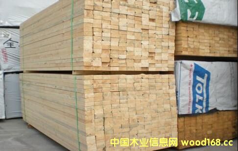 �Ї��I�Ҵ�����ُ����SPF���ɵ�ϣ������Ӱ