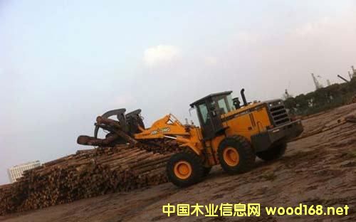 ˹�����၆2016��ľ�Ŀ�������610�f������