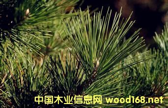 2016��ȫ����~�Ľ����������^�m(x��)��(chu��ng)�¸�