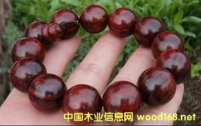 Ⱦ����̴��Ѫ̴���ִ�