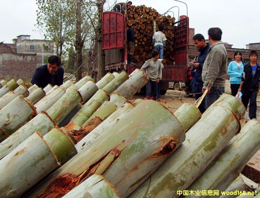 �V�����(sh��)ԭľ