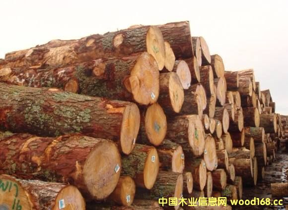 ӡ���������mԭľ�������M���Ј� 2017�������^�m(x��)���L